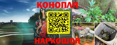прущие крисы Ярославль