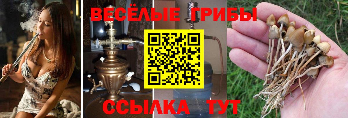 Псилоцибиновые грибы ЛСД  Вход с VPN  Белогорск 